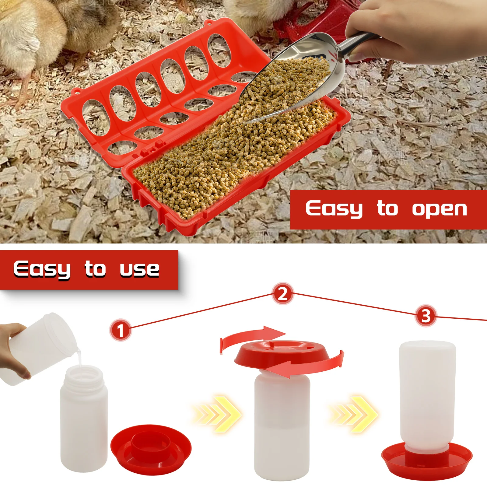 Automatic Bird Feeder & Waterer