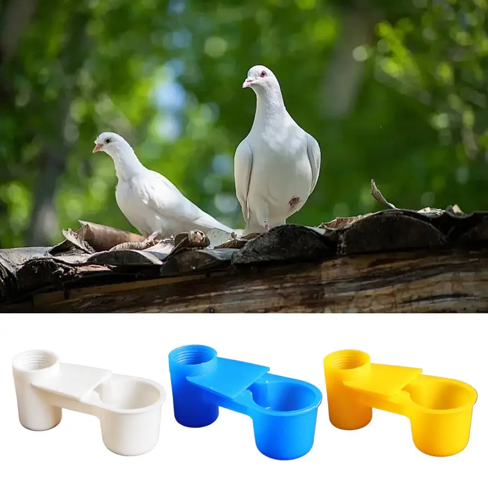 Water Dispenser for Pigeons & Birds