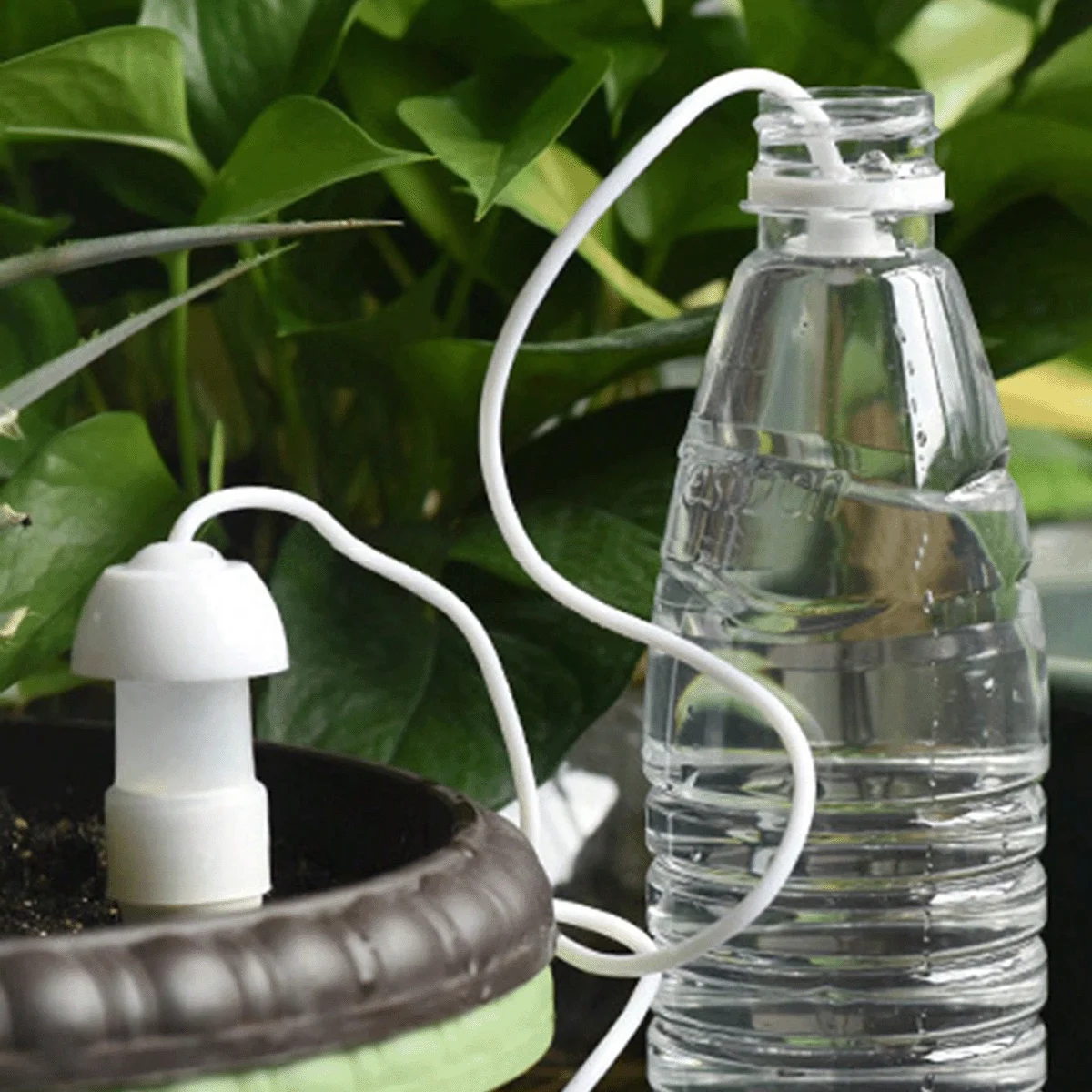 Automatic Waterer for Potted Plants — 4 Pcs