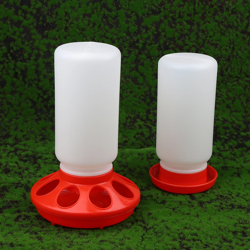 Automatic Feeder & Waterer for Poultry & Birds