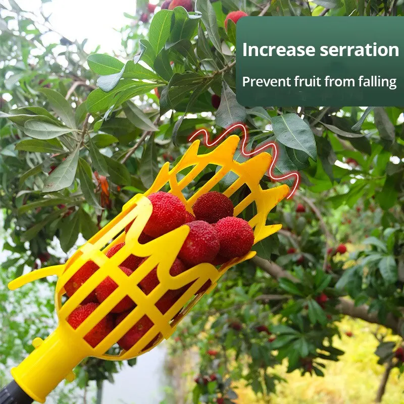 High-Reach Fruit Picker with Deep Plastic Basket