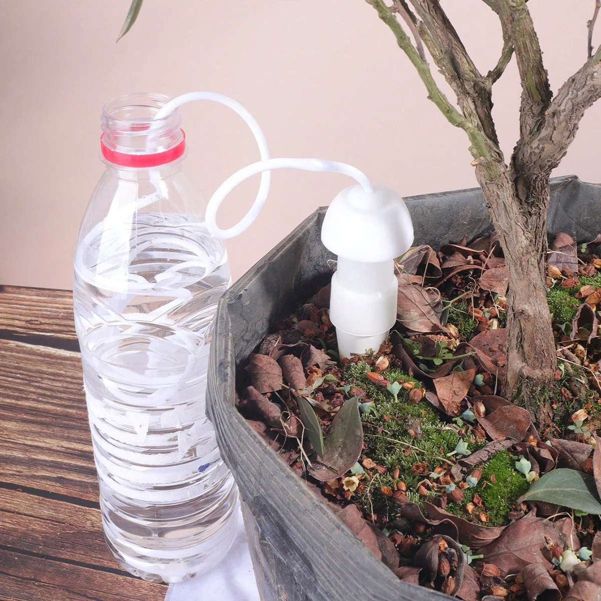 Automatic Waterer for Potted Plants — 4 Pcs