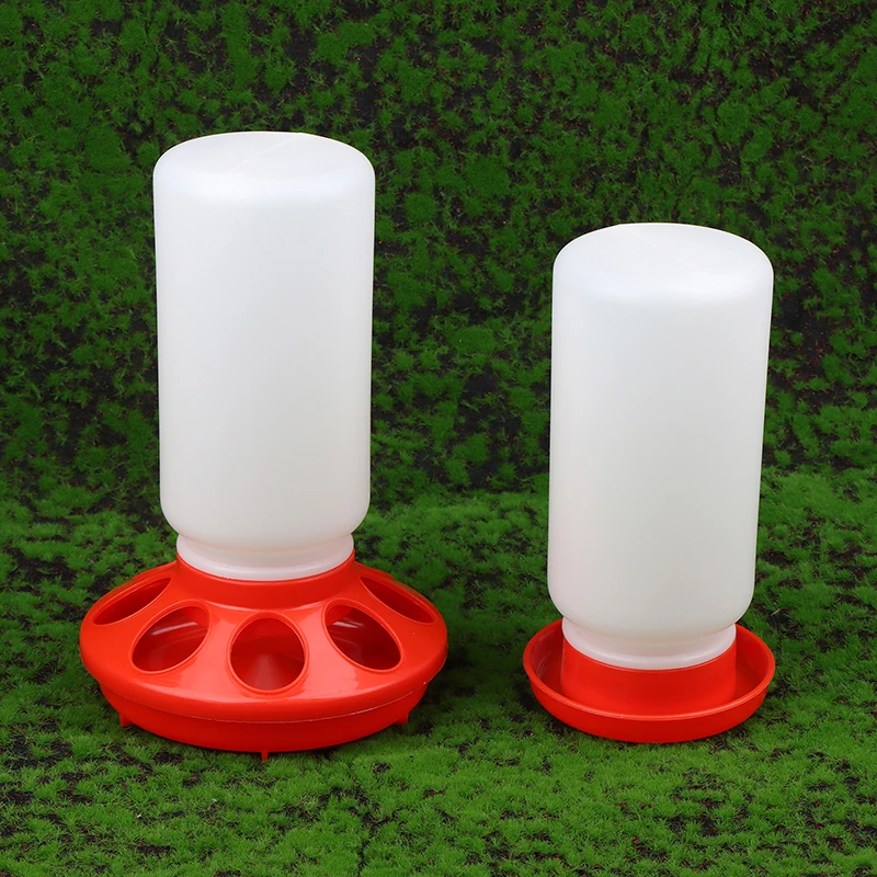 Automatic Feeder & Waterer for Poultry & Birds