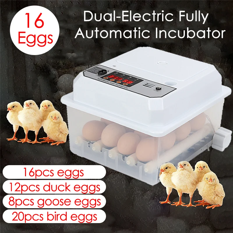 Automatic Incubator — 16 Eggs