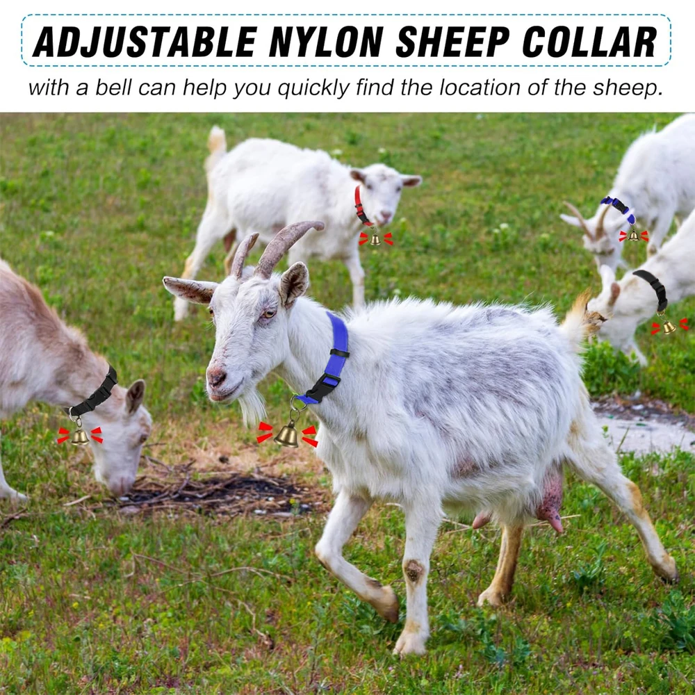 Bell Collar for Goats & Sheep