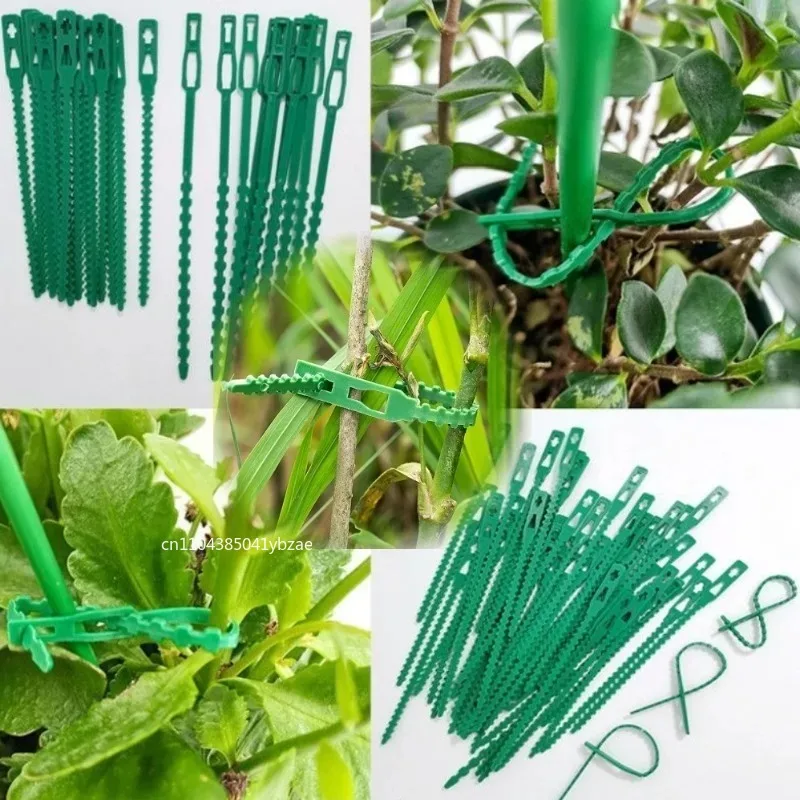Adjustable Reusable Plastic Plant Cable Ties (50–1000 Pcs) for Plant Support