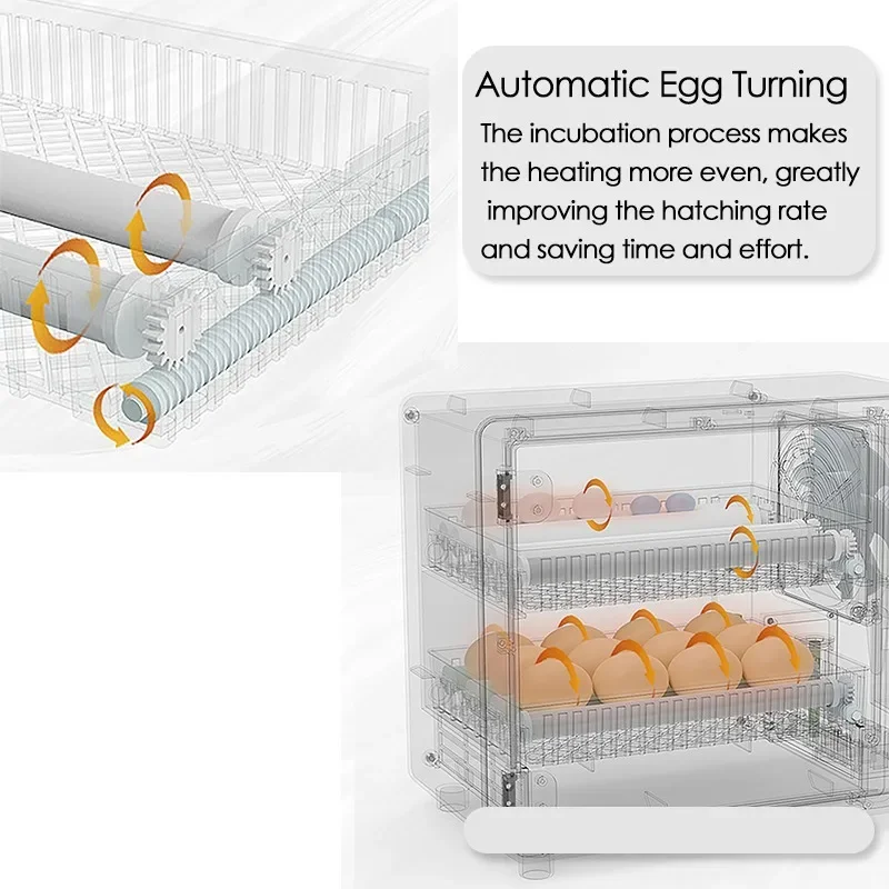 Fully Automatic Egg Incubator — 24 Eggs