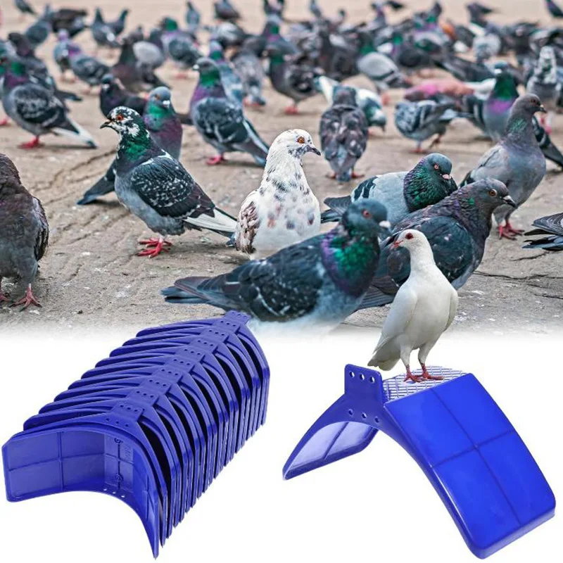 Plastic Pigeon Perches — 20 Pcs