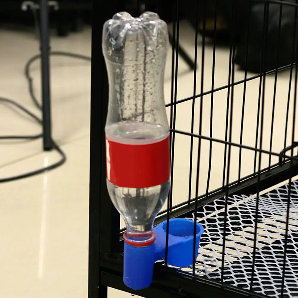 Water Dispenser for Pigeons & Birds