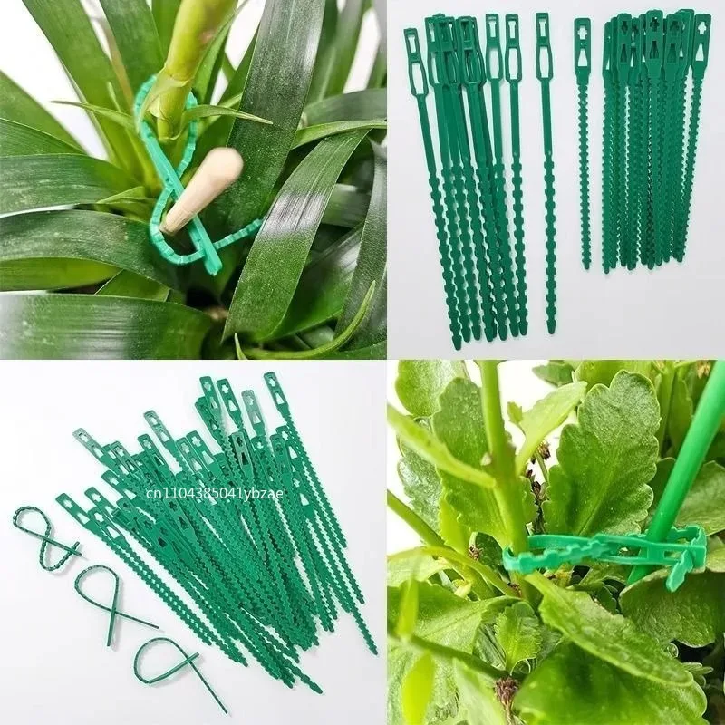 Adjustable Reusable Plastic Plant Cable Ties (50–1000 Pcs) for Plant Support
