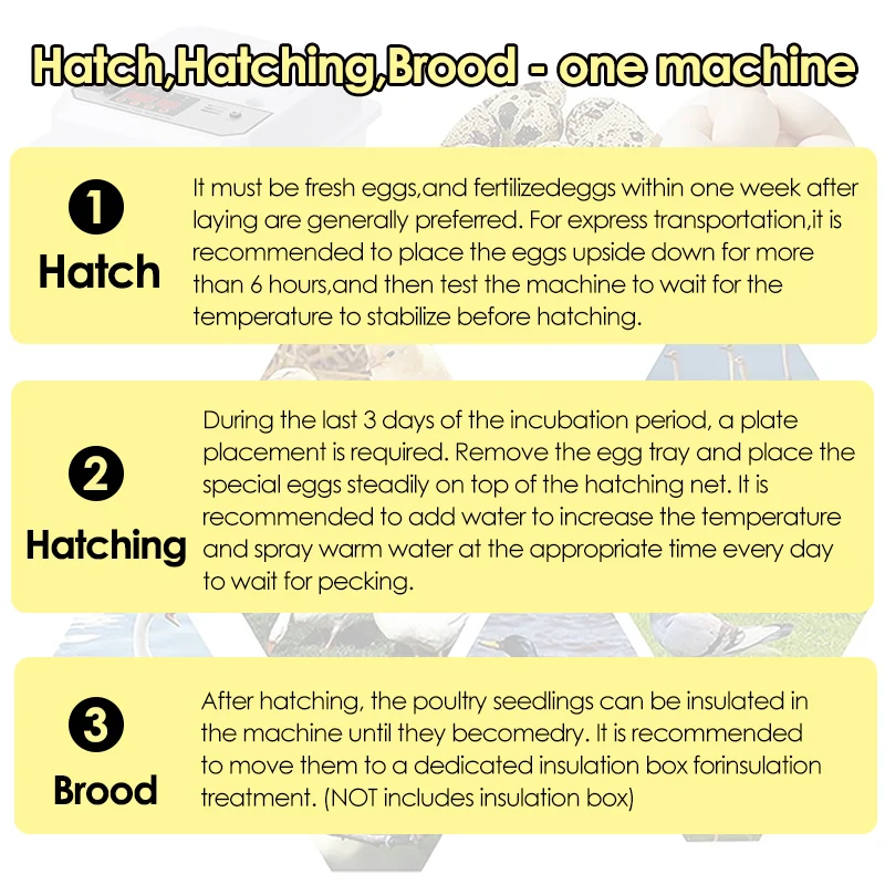 Automatic Incubator — 16 Eggs
