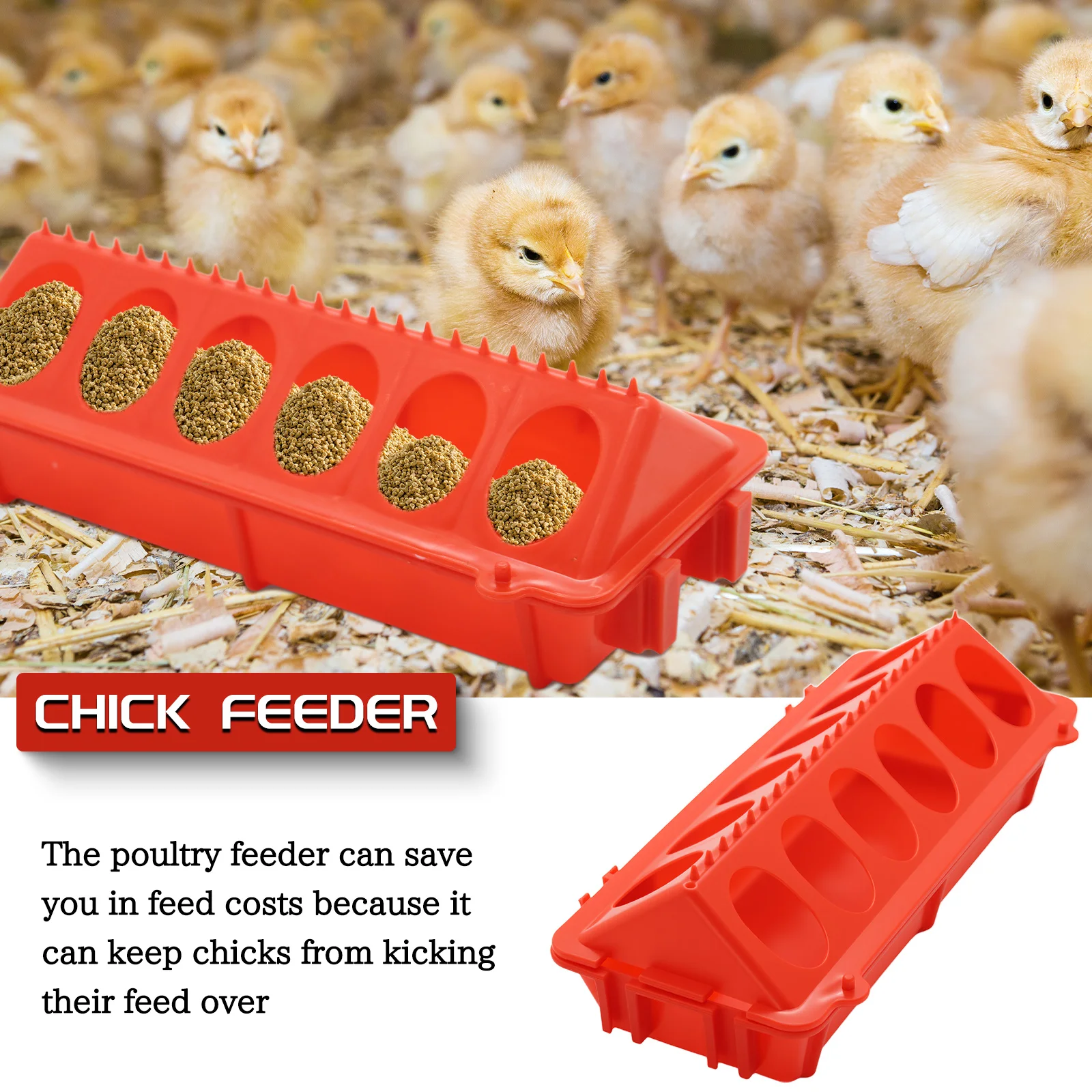 Automatic Bird Feeder & Waterer