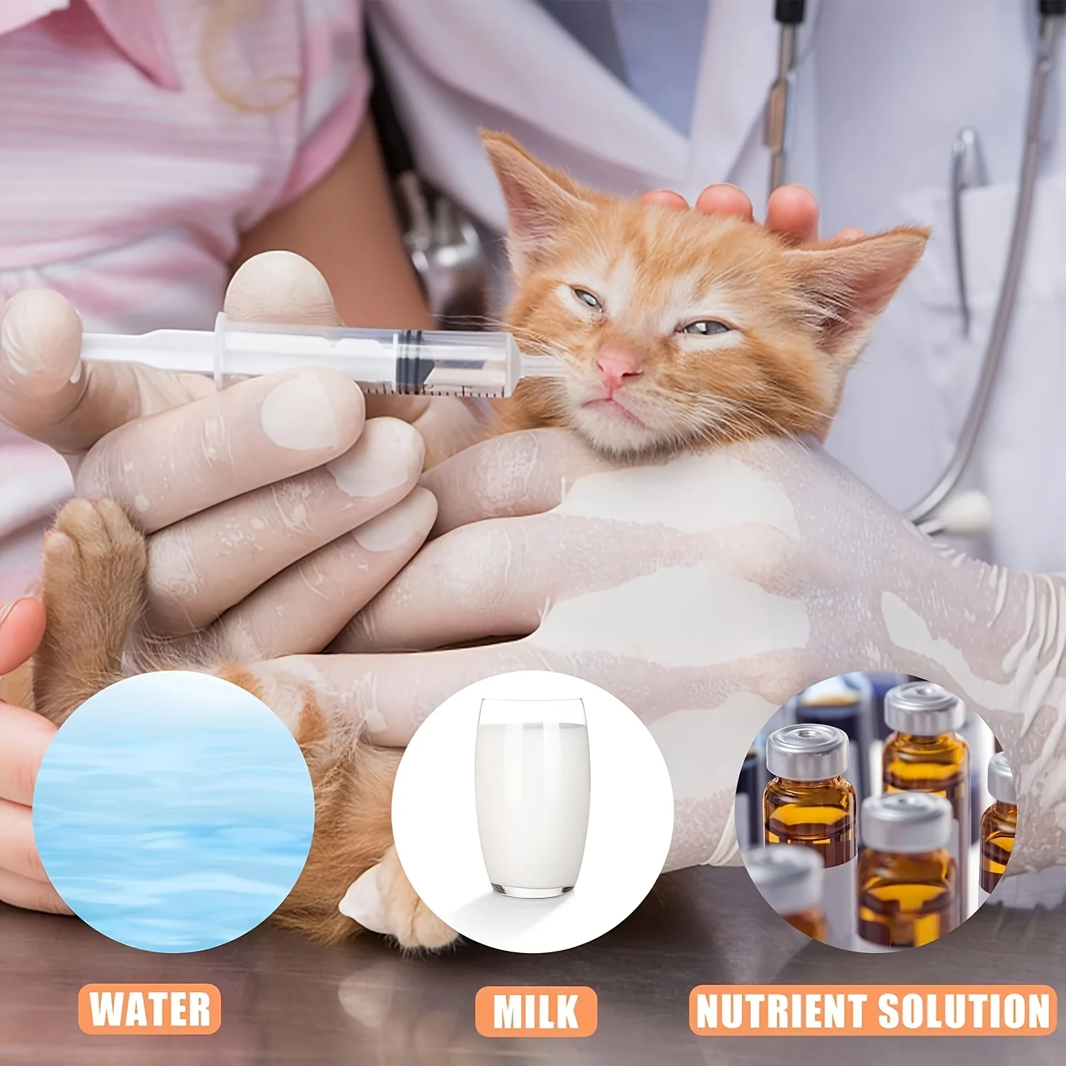 Hand-Feeding Tube Kit for Baby Parrots — 7 Pcs