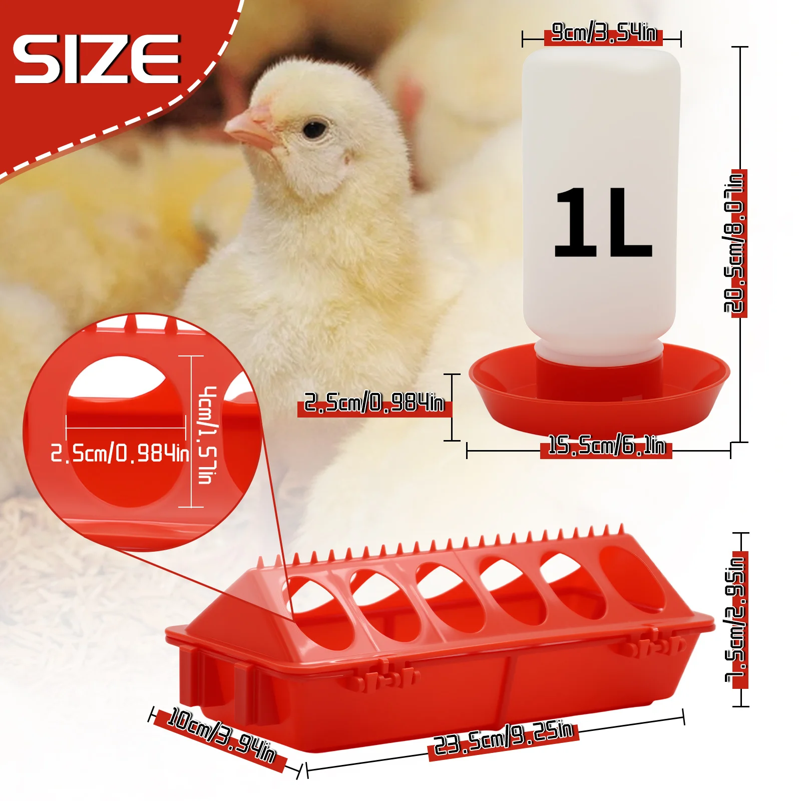 Automatic Bird Feeder & Waterer