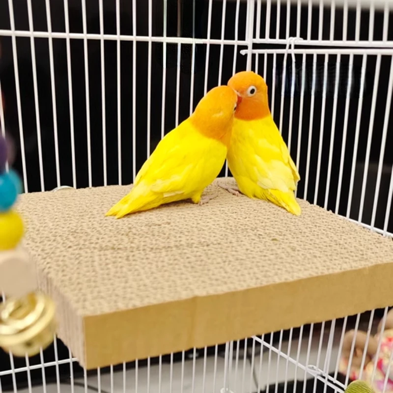 Shredding & Chewing Bird Toy with Cork Perch