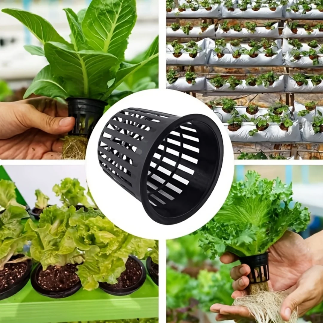 Hydroponic Net Cups — 25 Pcs