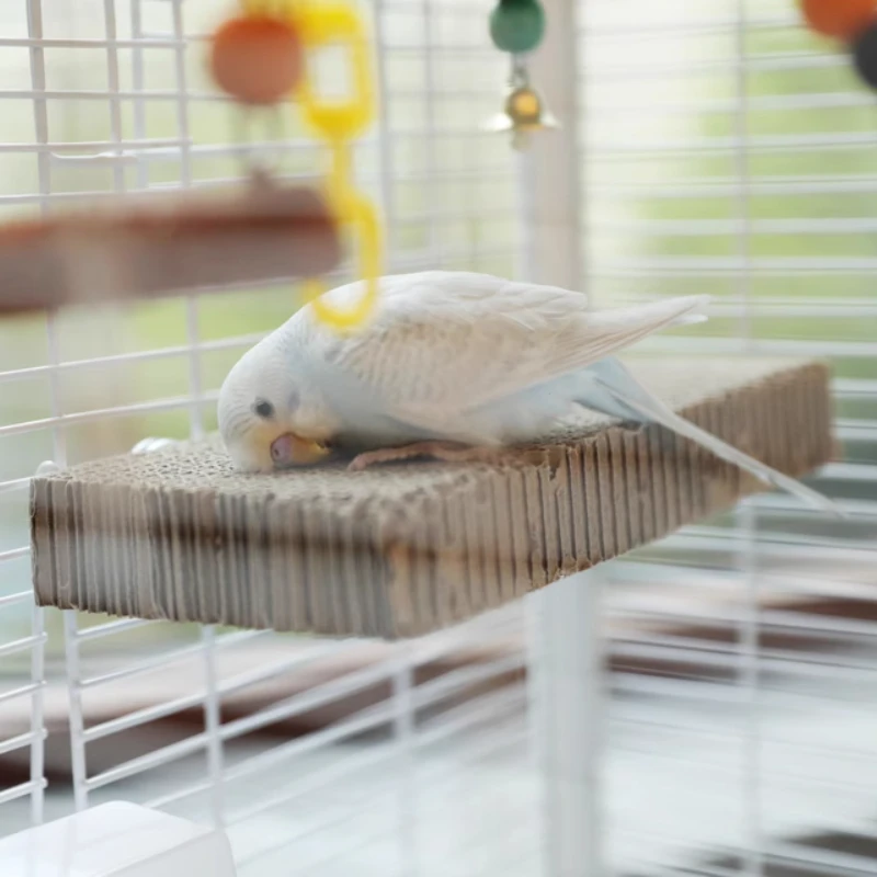 Shredding & Chewing Bird Toy with Cork Perch