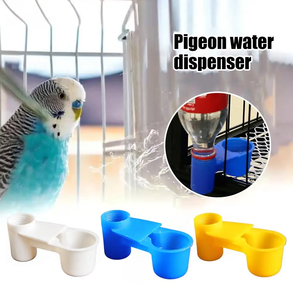 Water Dispenser for Pigeons & Birds
