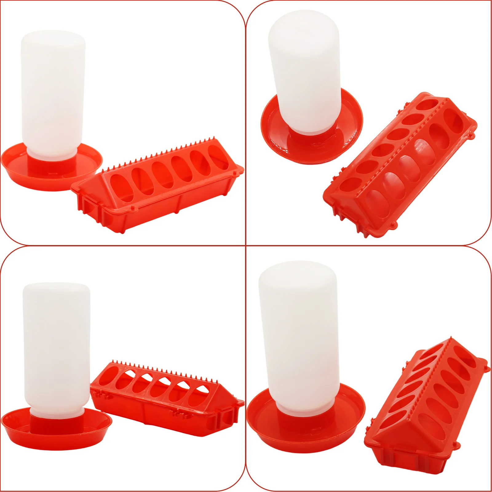 Automatic Bird Feeder & Waterer