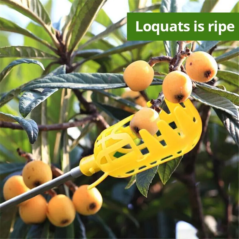 High-Reach Fruit Picker with Deep Plastic Basket