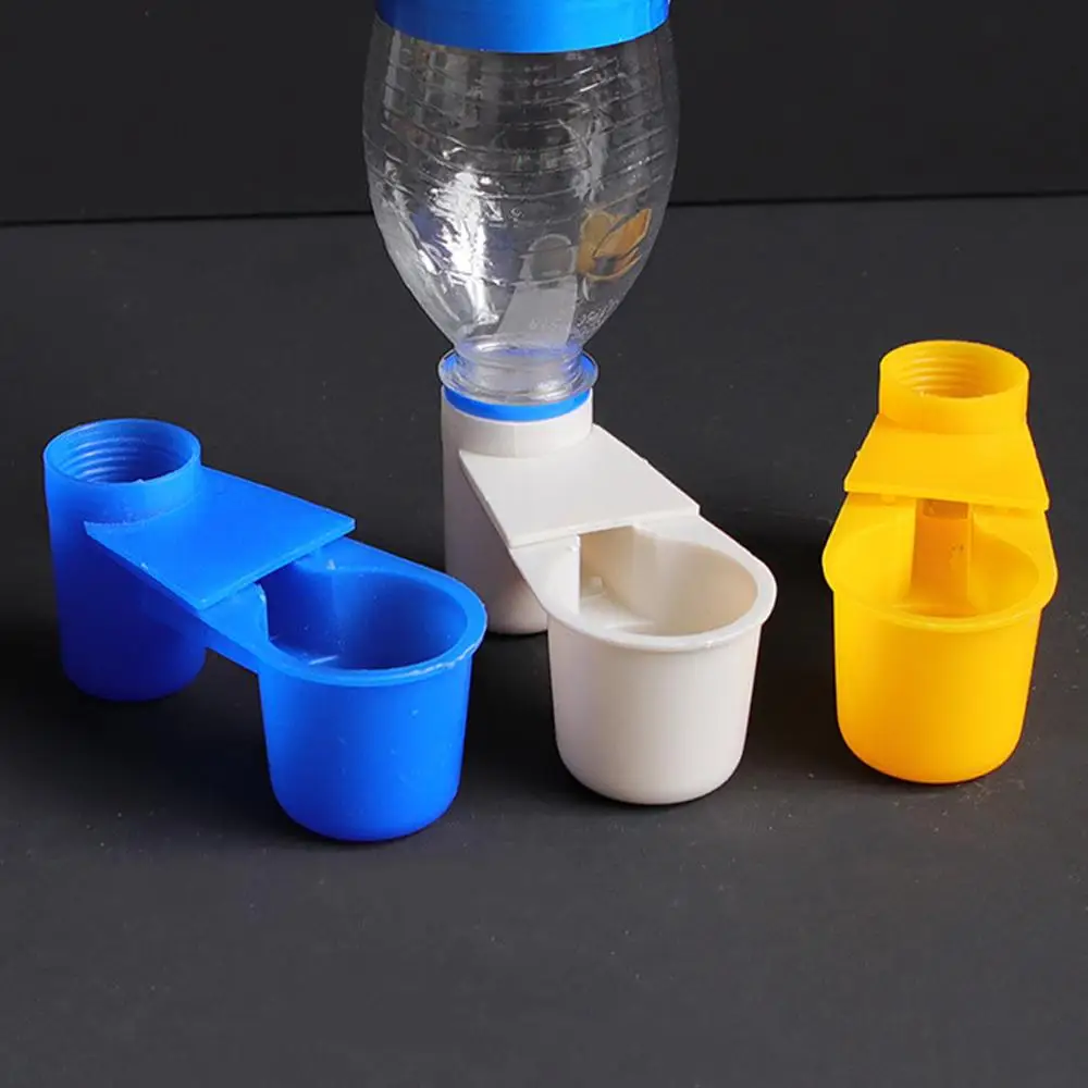 Water Dispenser for Pigeons & Birds
