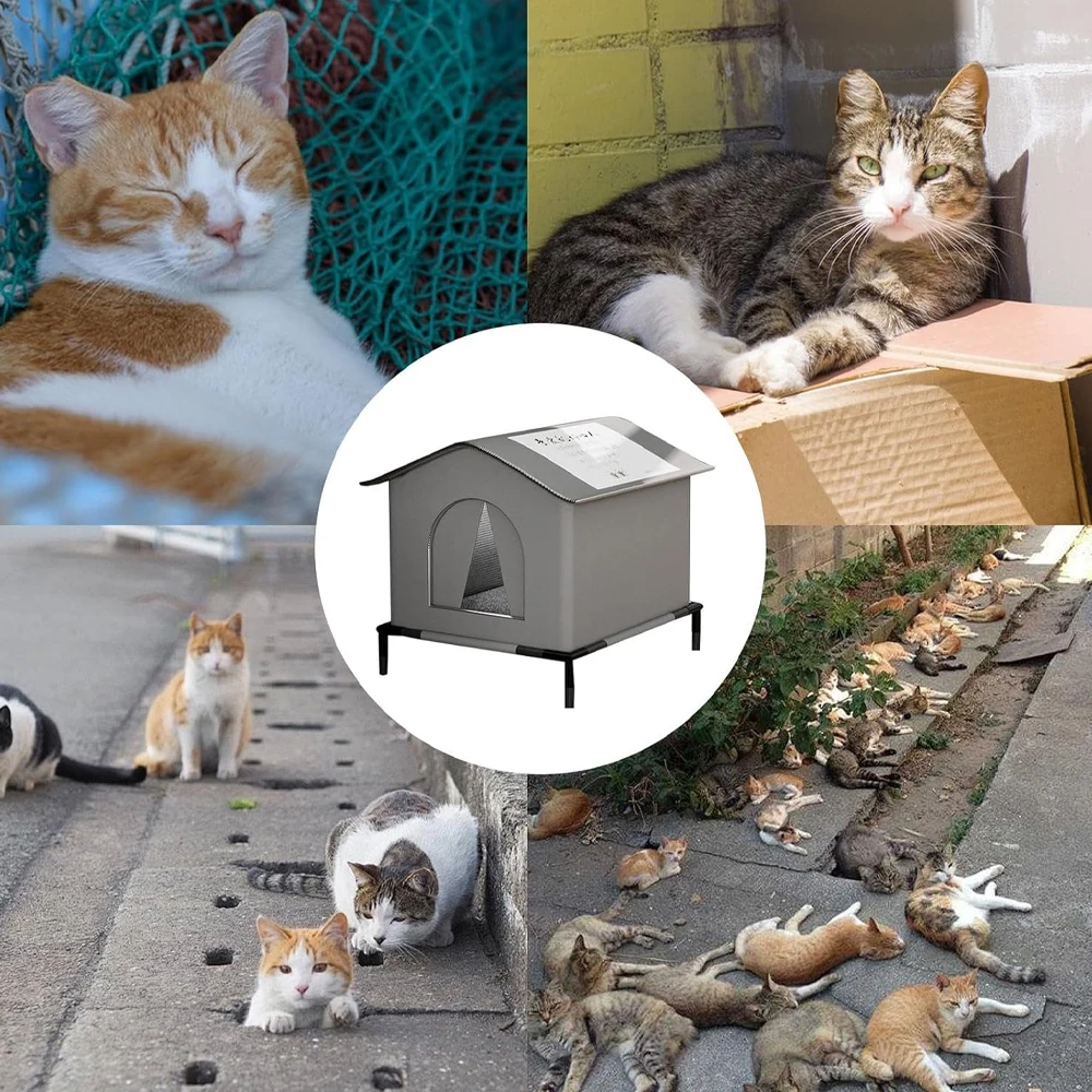 Warm Shelter for Cats & Puppies