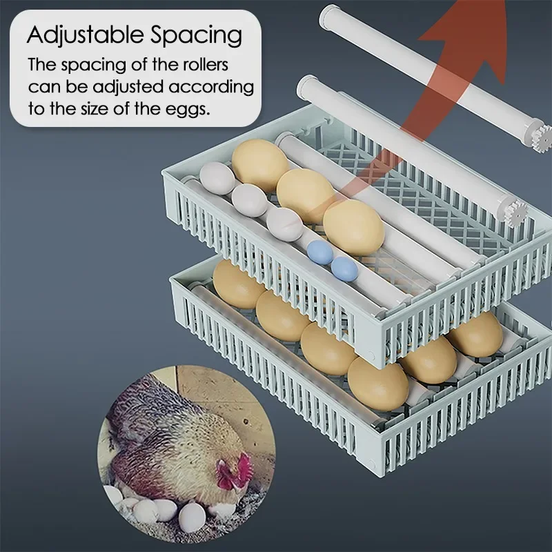 Fully Automatic Egg Incubator — 24 Eggs