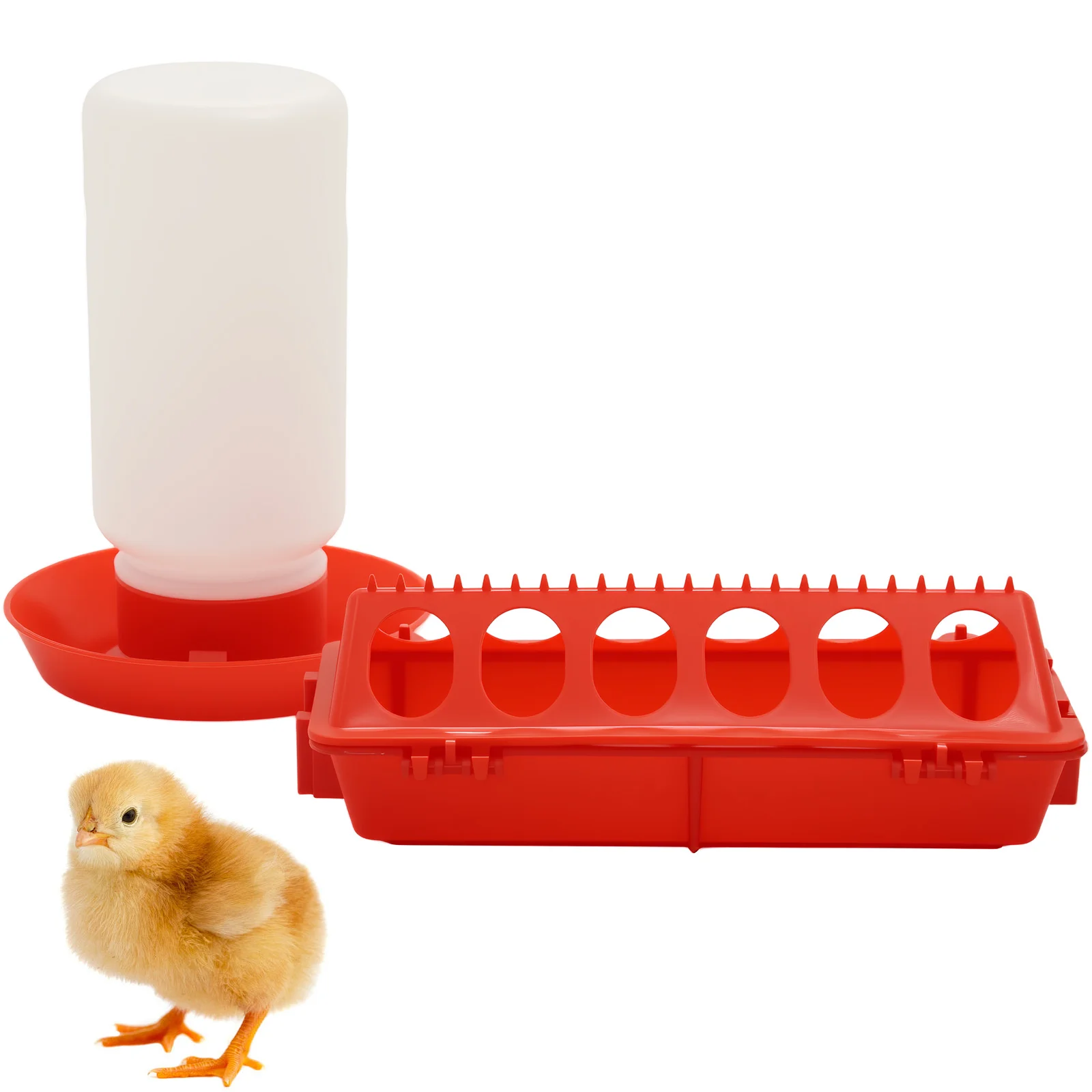 Automatic Bird Feeder & Waterer
