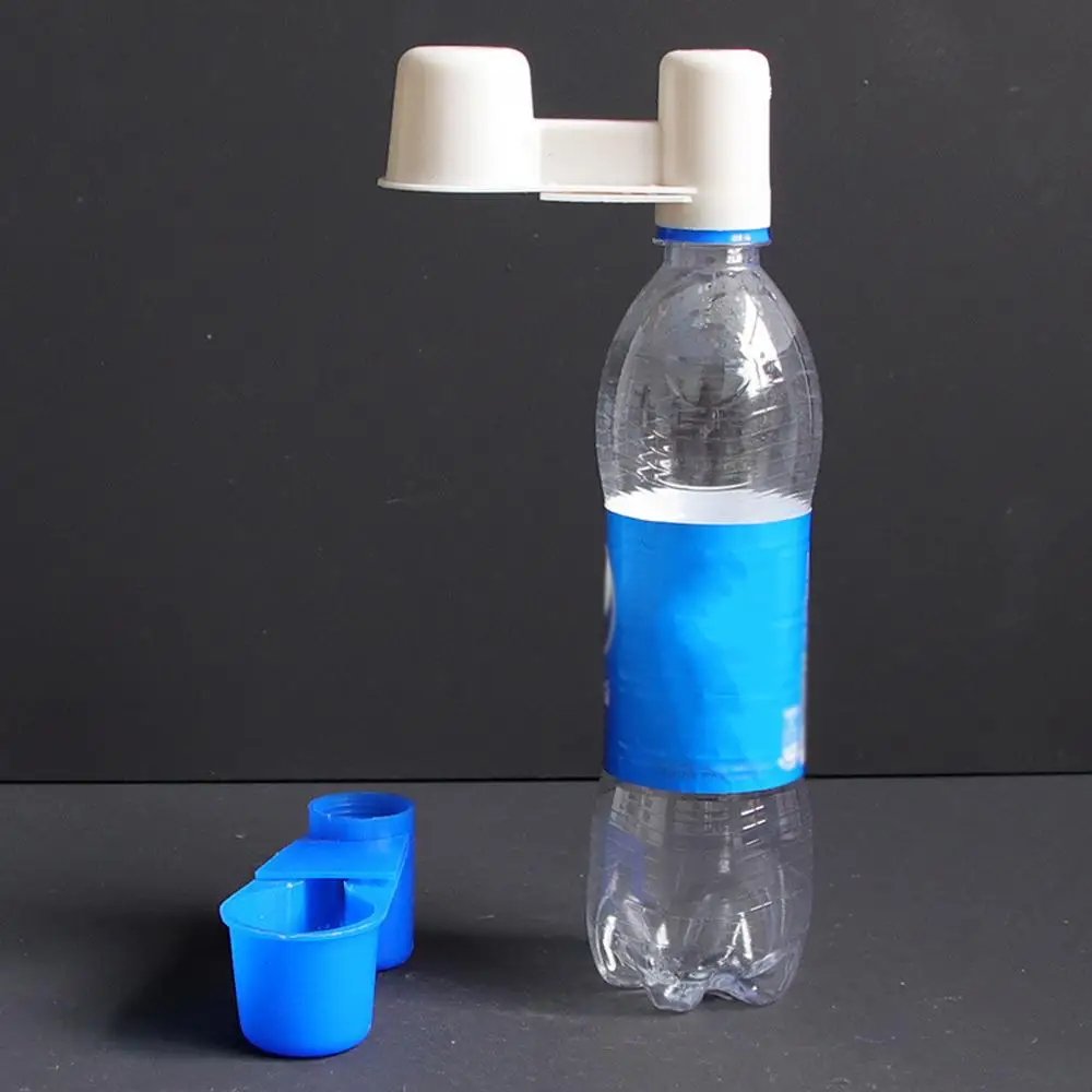 Water Dispenser for Pigeons & Birds