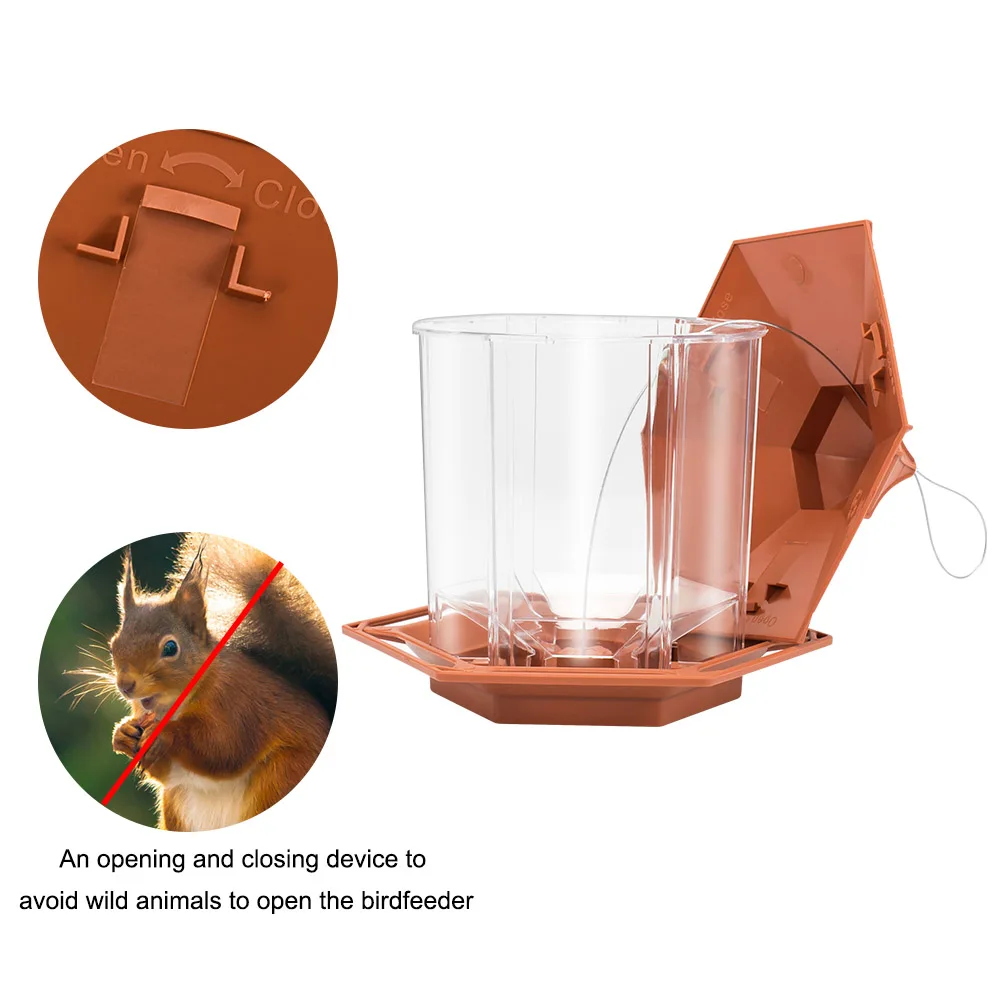 Clear Wild Bird Feeder